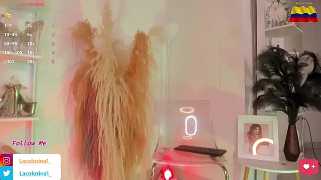 Snapshot of LaColorina_ chatting on 11/05/25, 04:07 LaColorina online show from 11/05/25, 04:07