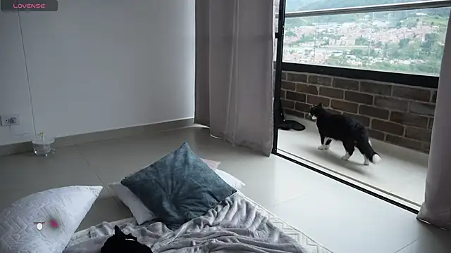 Snapshot of Veronica_ar chatting on 02/12/25, 07:24 Veronica ar online show from 02/12/25, 07:24