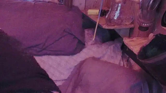 sex4fun 21 online show from 02/01/25, 07:15