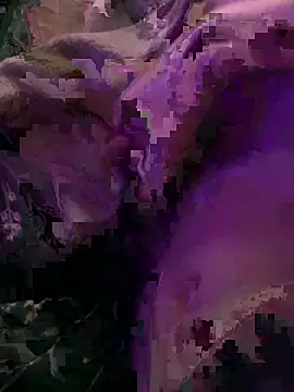 K100x online show from 12/04/25, 08:28