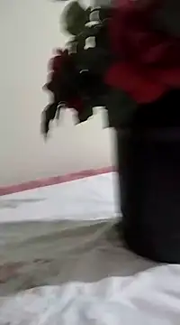 catdool online show from 01/23/25, 03:26