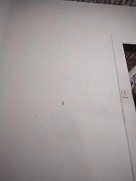 Snapshot of catdool chatting on 02/06/26, 10:35 catdool online show from 02/06/26, 10:35