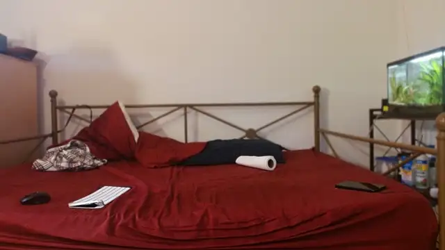 Dragonnycxh online show from 02/21/26, 08:54