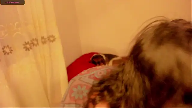 Snapshot of aluna_0310 chatting on 01/16/25, 11:59 aluna 0310 online show from 01/16/25, 11:59