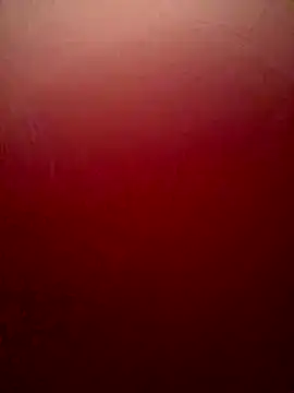 Snapshot of sweetAli_ chatting on 10/04/25, 11:25 sweetAli  online show from 10/04/25, 11:25