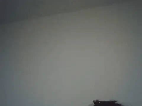 FallenDevil online show from 11/16/25, 08:14