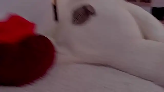 aryahunt1 online show from 02/12/25, 01:37