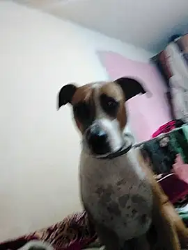 JoLeNe27 online show from 10/06/25, 04:54