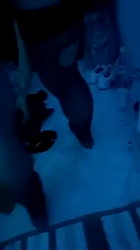 Misspadrona88 online show from 12/13/25, 10:37