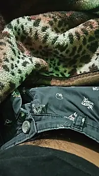 Snapshot of rockyp6 chatting on 02/12/26, 04:13 rockyp6 online show from 02/12/26, 04:13