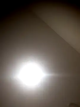 sua sub  online show from 11/05/25, 11:43