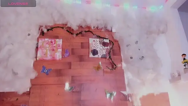 kelly thomson online show from 02/02/25, 04:22