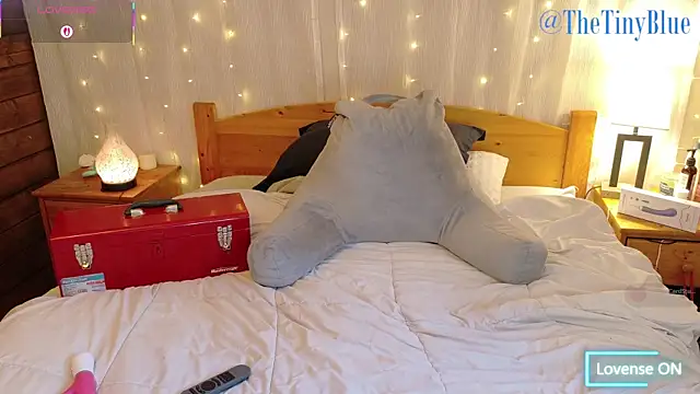 thetinyblue online show from 03/27/26, 06:07