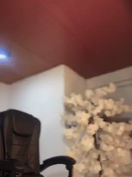 Ambar pe  online show from 11/10/25, 10:36