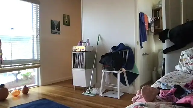 HYPHYtype online show from 10/17/25, 10:01