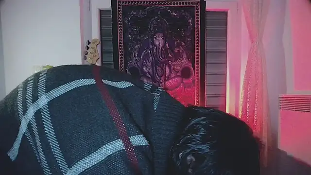 sademobeer online show from 10/22/25, 02:56