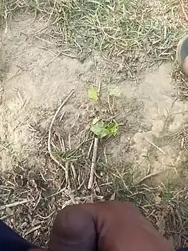 FinableKnee online show from 11/29/25, 10:07