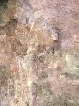 FinableKnee online show from 04/24/26, 01:08