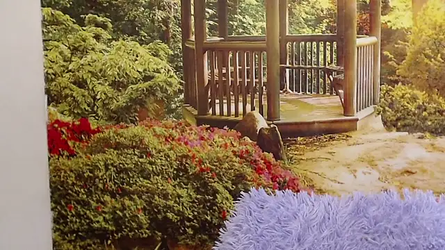 Pavla Soft online show from 04/24/26, 09:01