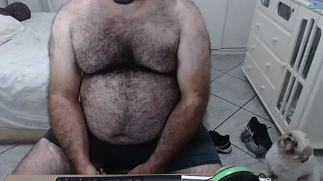 MysterBearMG online show from 02/01/25, 01:34