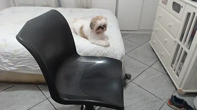 MysterBearMG online show from 11/25/25, 12:32