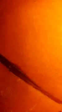 k lebannon online show from 12/31/24, 11:49