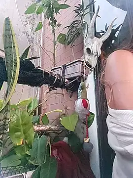 k lebannon online show from 02/20/25, 08:36