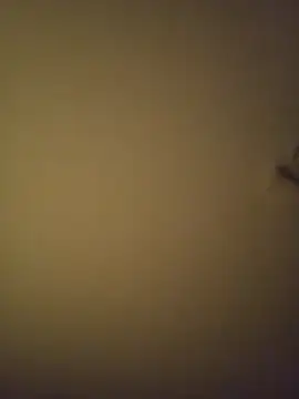 Snapshot of SMOKERBEASTBR chatting on 02/08/26, 06:17 SMOKERBEASTBR online show from 02/08/26, 06:17