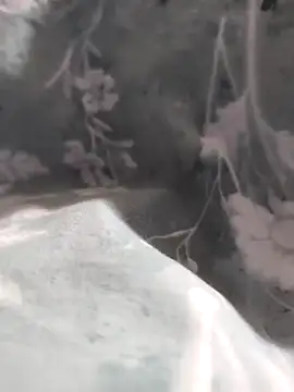 Elixire1 online show from 01/06/26, 04:32