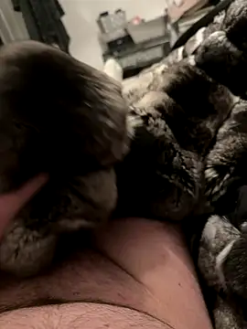 Furdale online show from 12/04/25, 07:00