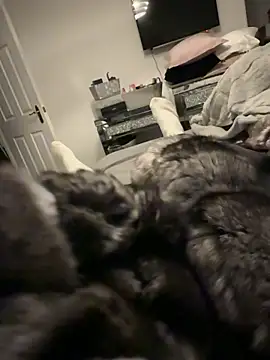 Furdale online show from 12/17/25, 04:13