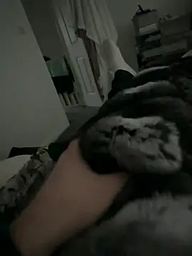 Furdale online show from 02/02/26, 02:49