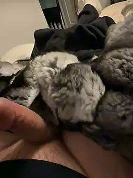 Furdale online show from 02/03/26, 06:35