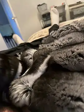 Furdale online show from 02/12/26, 04:24