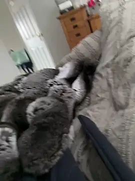 Furdale online show from 03/30/26, 09:54