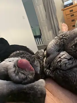 Furdale online show from 04/01/26, 02:25