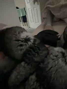 Furdale online show from 04/09/26, 11:04