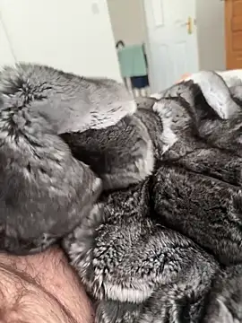 Furdale online show from 04/23/26, 01:57