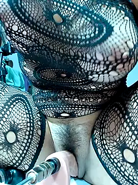 shelby kutter online show from 11/30/25, 04:33