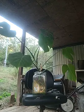 xomikaylaxo online show from 10/30/25, 10:32