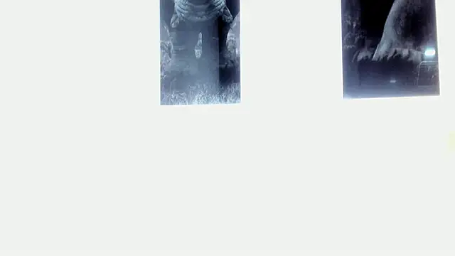 Snapshot of AlexRivera6 chatting on 03/17/25, 11:43 AlexRivera6 online show from 03/17/25, 11:43