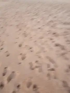 rodovlaz online show from 09/17/25, 10:44