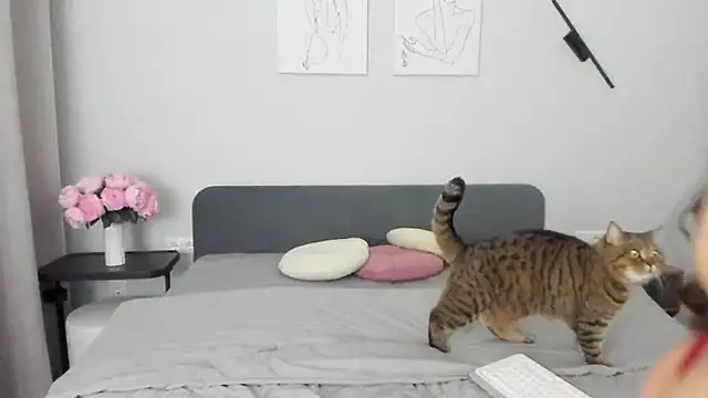 miss emily  online show from 04/19/26, 10:45