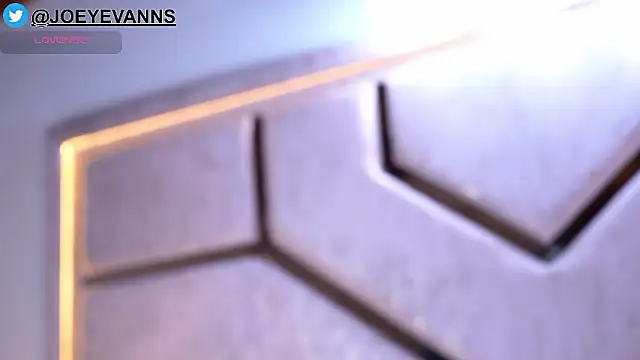 JOEYEVANS online show from 02/01/26, 12:53