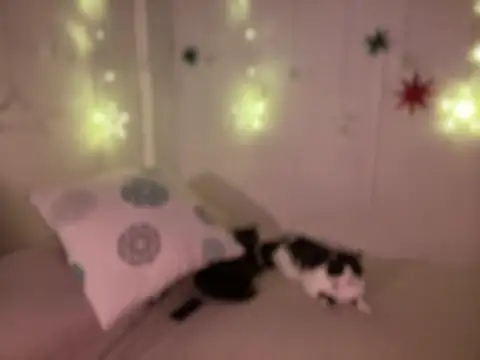 Snapshot of Im_sophiie chatting on 12/19/24, 08:45 Im sophiie online show from 12/19/24, 08:45