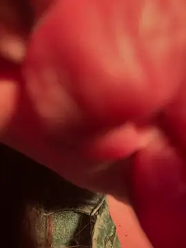 Snapshot of Im_sophiie chatting on 02/13/25, 05:58 Im sophiie online show from 02/13/25, 05:58