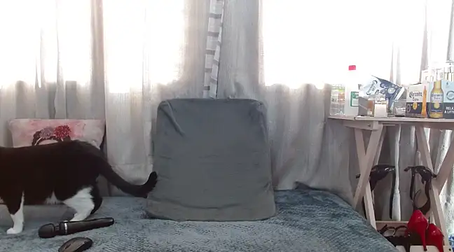 Boonny Boo01 online show from 02/01/25, 01:41