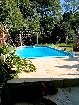 Snapshot of dutra498 chatting on 03/02/26, 07:32 dutra498 online show from 03/02/26, 07:32