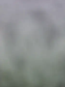 Snapshot of fuckineverett chatting on 03/15/25, 03:48 fuckineverett online show from 03/15/25, 03:48