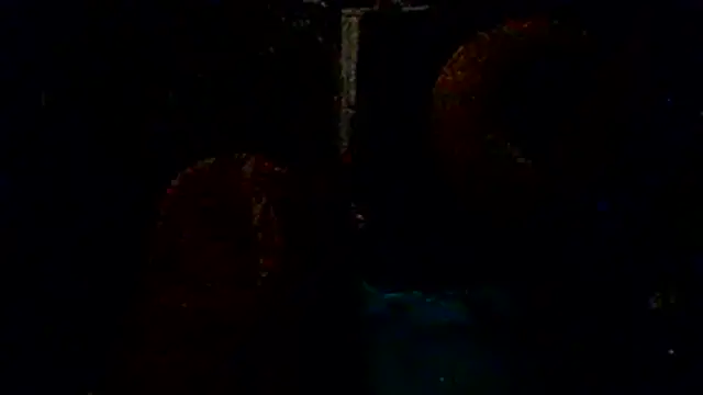 fuckineverett online show from 04/14/26, 06:08